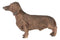Adorable Lifelike Pet Pal Chocolate Dachshund Sausage Dog Miniature Figurine