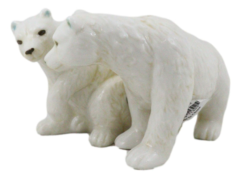Arctic North Pole Polar Bears Couple Side By Side Ceramic Salt Pepper Shaker Set