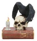 Ebros Raven Crow Perching On Skull with Ancient Book Jewelry Trinket Box 8.5"H