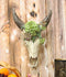 Ebros Western Vintage Aged Faux Taxidermy Wildlife Horned Game Animal Skull Head With Painted Flowering Succulents Wall Mount Decor 3D Replica Skulls Hanging Plaque Sculpture (Steer Bison Buffalo Cow)