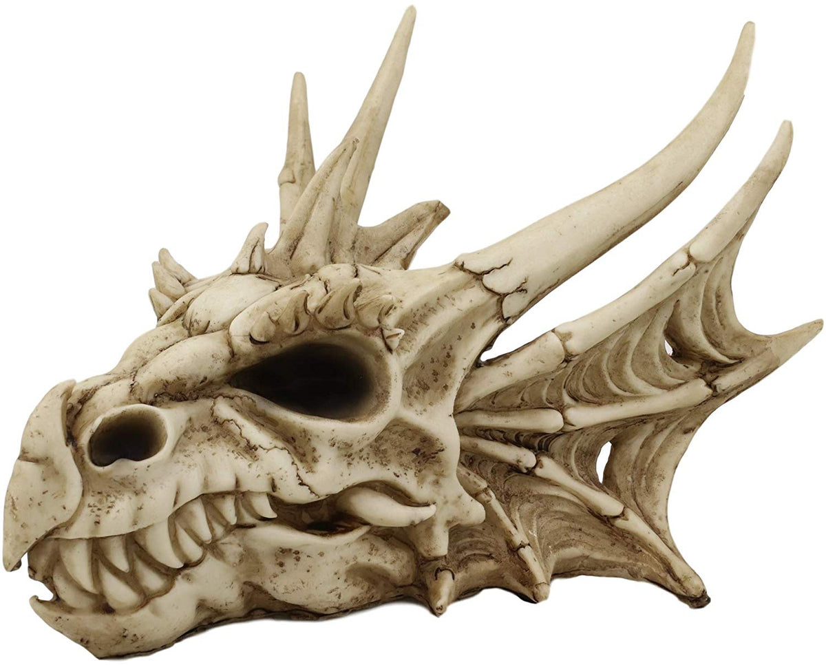 Ebros Elder Jurassic Dragon Head Skull Realistic Fossil Statue 9" Long Figurine - Ebros Gift
