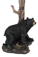 Rustic Western Roaming Forest Black Bear Desktop Table Lamp Lighting Decor 20"H