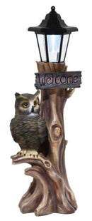 Ebros Forest Guardian Night Owl Welcome Sign Statue With Solar Powered Lantern