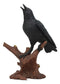 Ebros Crowing Raven Perched On Tree Branch 8.25" Tall Scavenger Bird Figurine