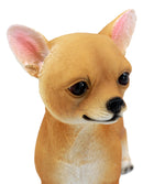 Ebros Adorable Chiquito Chihuahua Dog Statue 7.75"L Lifelike Short Hair Chihuahua