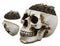 Ebros Day of The Dead Gold Coins Dollar Bills Grinning Skull Decorative Stash Box