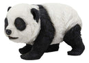 Ebros Realistic Lifelike Adorable China Asian Baby Giant Panda Bear Statue 9" Long with Glass Eyes Hand Painted Eastern Bamboo Mountain Pandas Bears Decor Figurine