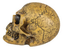 Ebros Alchemy Alpha Omega Ancient Mystical Symbols Skull With Sharp Canine Figurine