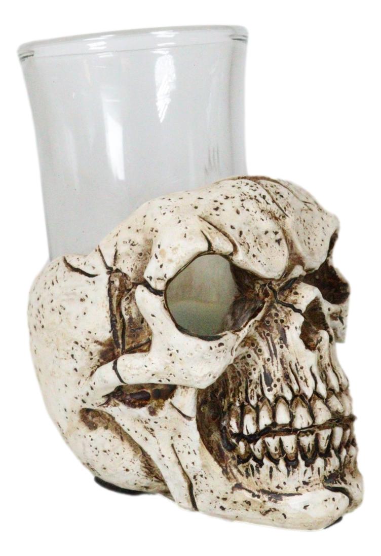 Gothic Ossuary Graveyard Macabre Grinning Evil Skull Shot Glass Holder Figurine