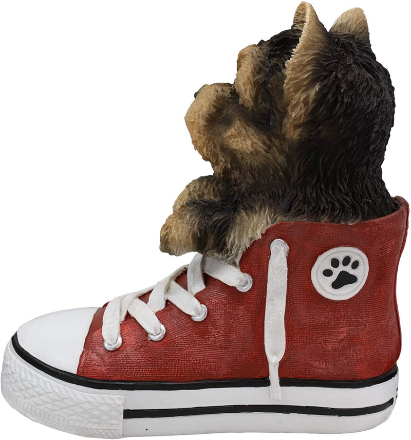 Ebros Paw-Star Pups Yorkie Yorkshire Terrier in Sneaker with Glass Eyes Figurine