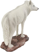 Ebros Gift Realistic Winter Hunter Tundra Snow White Albino Wolf Statue 8" Long