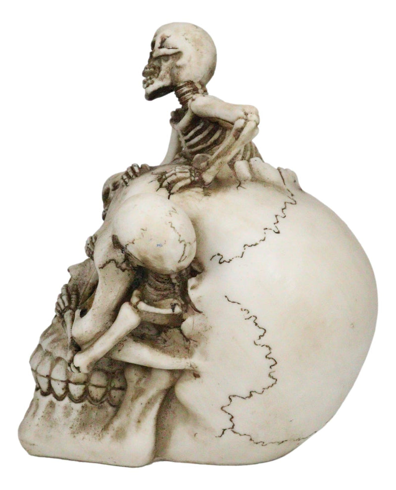 Grinning Jointed Cranium Skull With Triple Threat Skeletons Ossuary Figurine