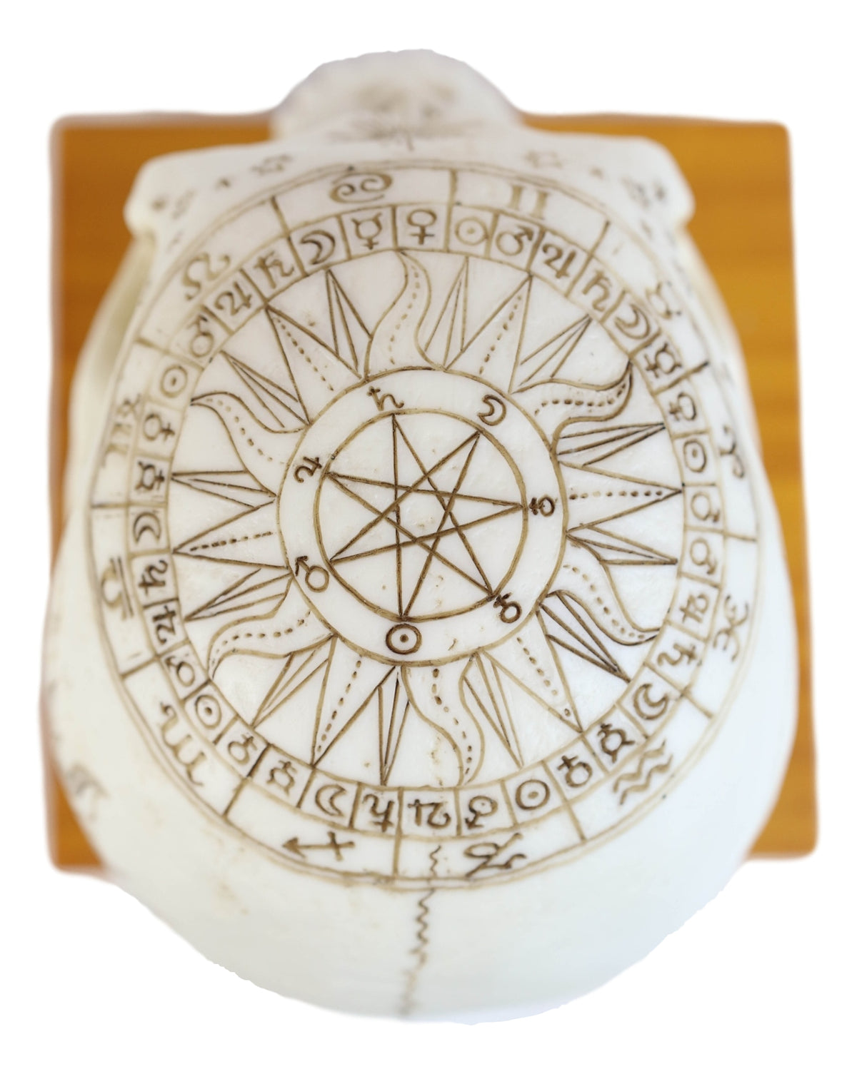 Wicca Astrology Zodiac Skull LED Night Light Statue With USB Charging Wood Base