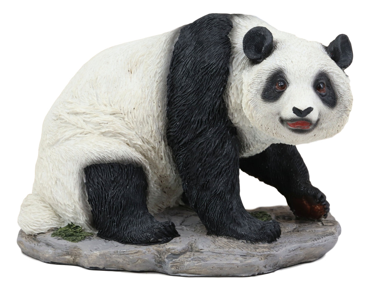 Ebros Lifelike Adorable China Asian Giant Panda Bear Statue 8"L With Glass Eyes Decor