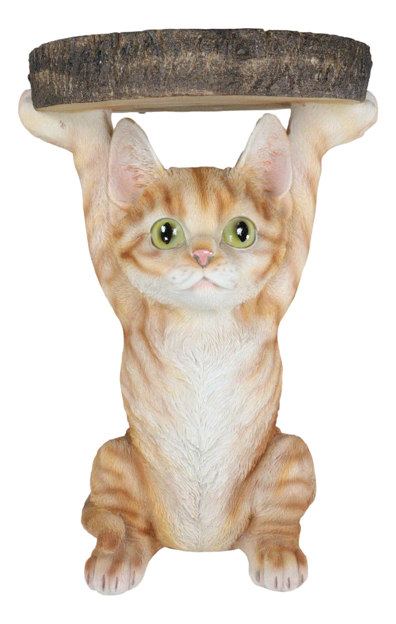 Feline Orange Tabby Cat Kitten Holding Faux Wood Slice Table Stand Figurine