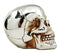 Ebros Gift Chrome Plated Golden Silver Treasure Skull Figurine 6.25"L