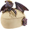 Twilight Dragon Hatchling Breaking Out Of Egg Shell Figurine Jewelry Box Decor