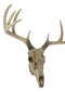 Ebros 18."L 10 Point Buck Head Wall Mount Resin Stag Deer Skull Antler Sculpture - Ebros Gift