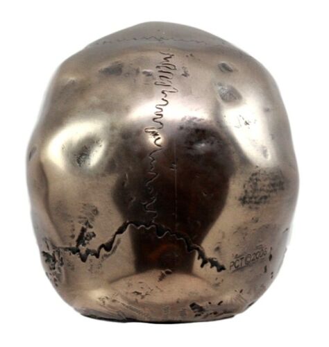 Ebros Bronzed Homosapien Skull Figurine 4.5"L Miniature Halloween Collectible - Ebros Gift