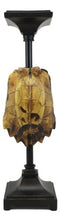 Large Nautical Reptile Exotic Turtle Shell Pillar Candle Holder Statue 17"High
