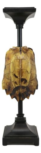 Large Nautical Reptile Exotic Turtle Shell Pillar Candle Holder Statue 17"High