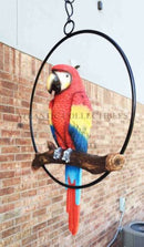 Ebros Hanging Scarlet Macaw Parrot Perching on Branch in Metal Round Ring Figurine 13.5" H
