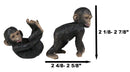 Ebros Whimsical Monkey See Monkey Do Set of 6 Chimpanzee Multi Pose Figurines