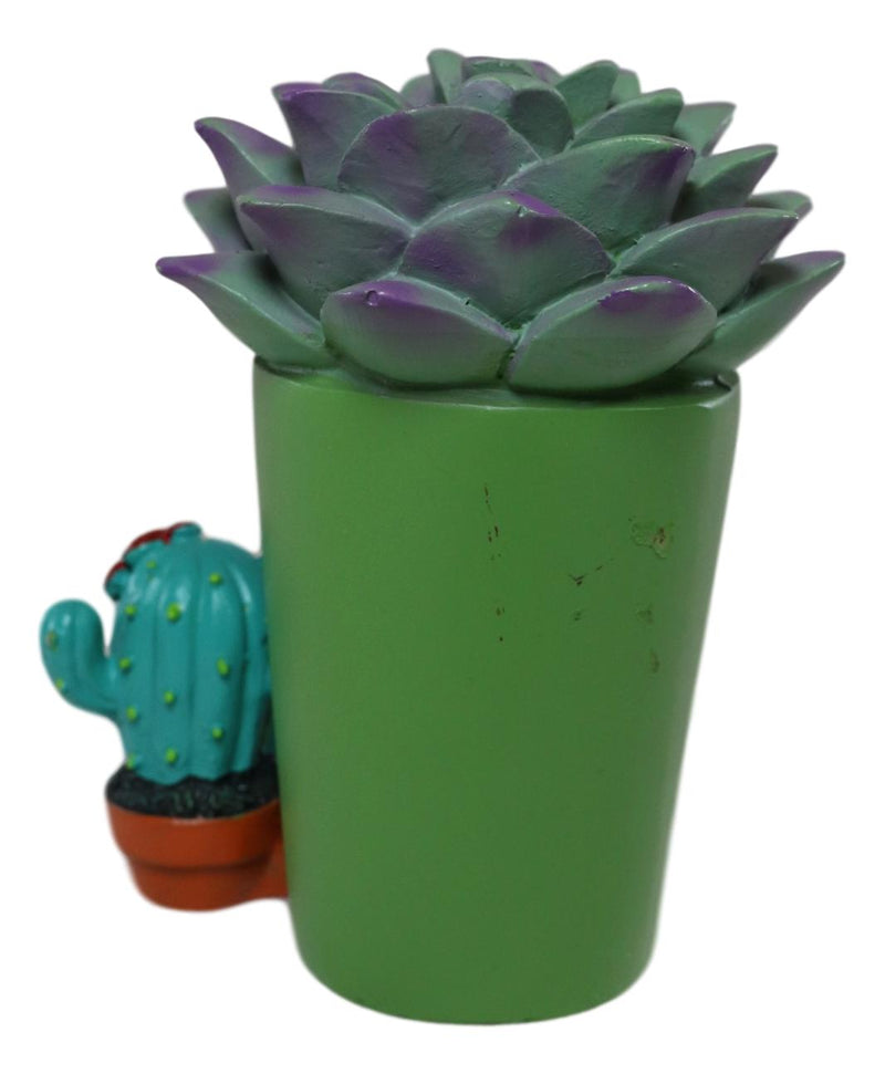 Ebros Furry Bones Echy The Succulent Plant Pot With Cactus Skeleton Figurine