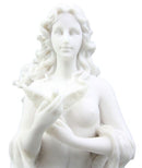 Ebros Nude Aphrodite With Doves Figurine Greek Goddess Of Beauty And Sex Venus 11.5"H