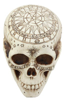 Ebros Solar Astrology Celestial Skull Statue Cartography Skull Cranium Figurine