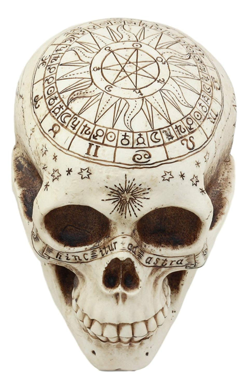 Ebros Solar Astrology Celestial Skull Statue Cartography Skull Cranium Figurine