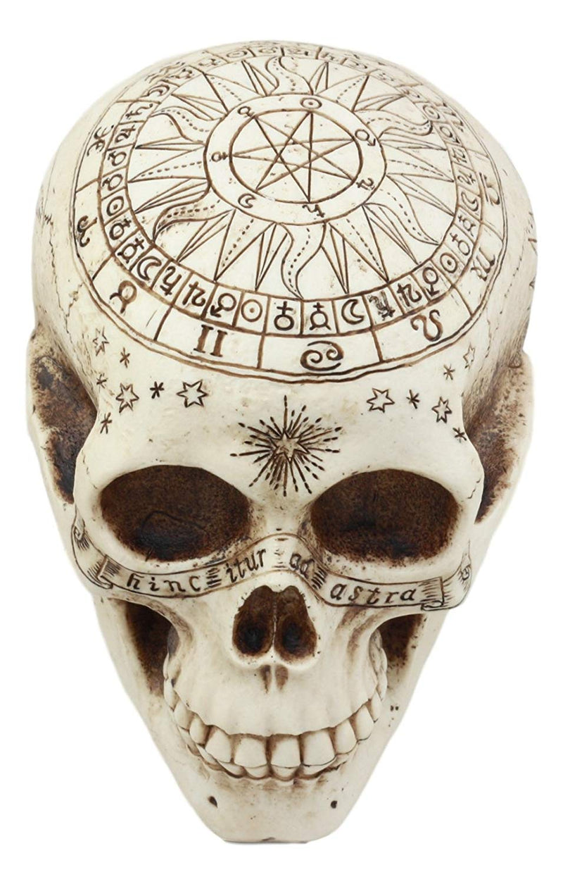 Ebros Solar Astrology Celestial Skull Statue Cartography Skull Cranium Figurine