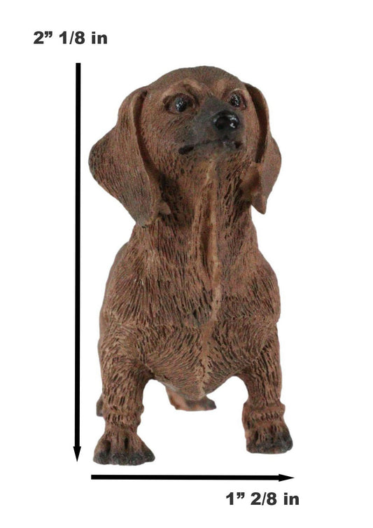 Adorable Lifelike Pet Pal Chocolate Dachshund Sausage Dog Miniature Figurine - Ebros Gift