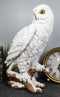 Mystical White Snow Owl Bird Statue 12.25"Tall Nocturnal Bird Wildlife Owl Decor