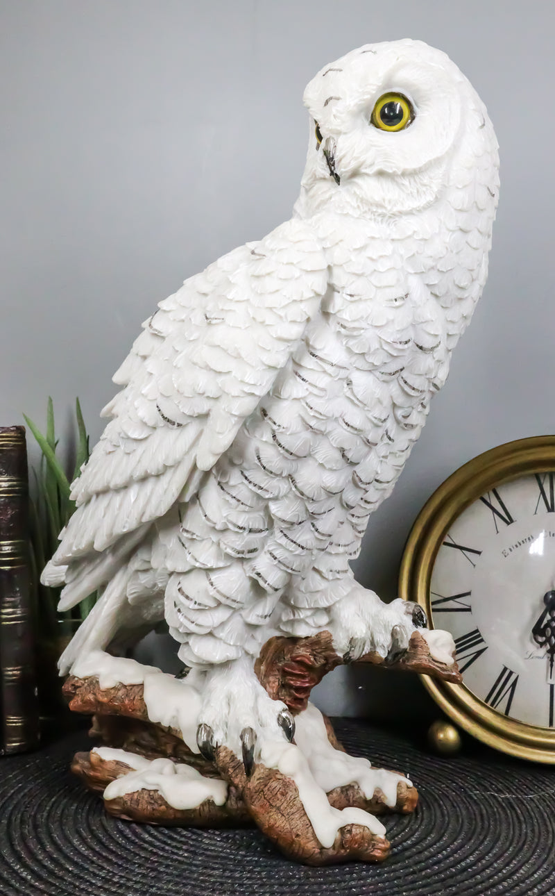 Mystical White Snow Owl Bird Statue 12.25"Tall Nocturnal Bird Wildlife Owl Decor