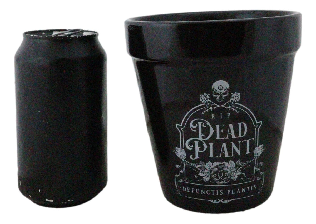 Dead Plant RIP Skull Grave Tombstone Wicca Witch Flower Herbs Planter Pot - Ebros Gift