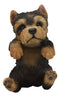 Ebros Garden Pot Hanging Yorkshire Terrier Statue 8" Tall with Glass Eyes Yorkie