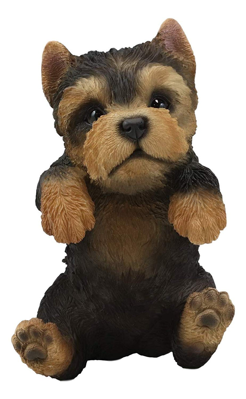 Ebros Garden Pot Hanging Yorkshire Terrier Statue 8" Tall with Glass Eyes Yorkie