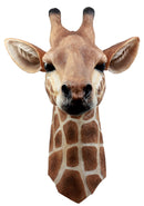 Ebros Safari Giraffe Head Trophy Taxidermy Wall Decor Sculpture Hanging Plaque