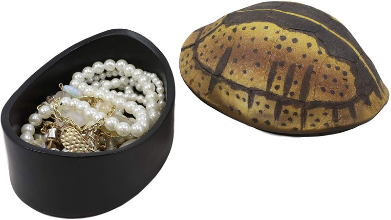 Ebros Nautical Reptile Realistic Spotted Tortoise Shell Decorative Box Figurine 6.25"L