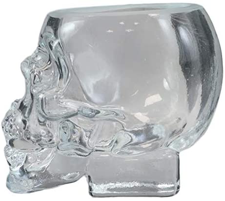 Ebros Set of 2 Translucent Acrylic Skeleton Skull Face Liquor Shot Glass Shooters