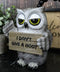 Sassy Cynical Grey Owl Flipping The Bird With I Don't Give A Hoot Sign Figurine