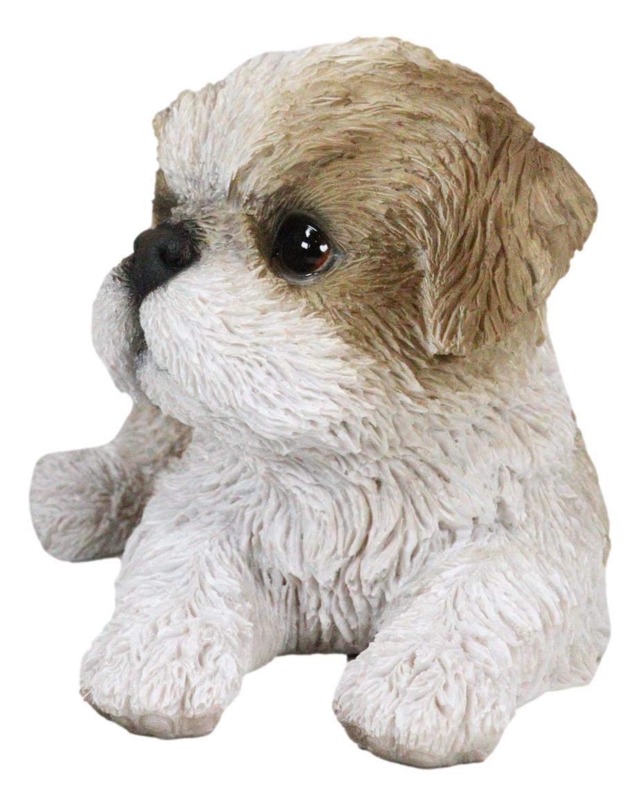 Lifelike Adorable Shih Tzu Dog At Rest With Glass Eyes Figurine Pet Pa