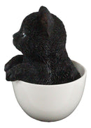 Lifelike Adorable Black Kitten Cat in White Tea Cup Pet Pal Figurine 5.75" Tall