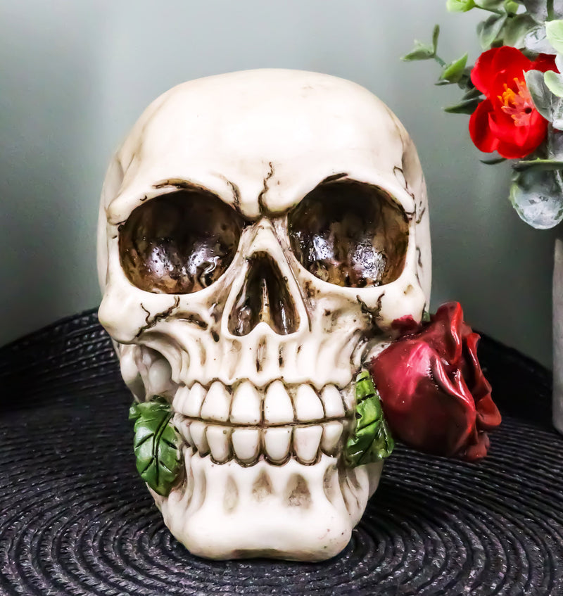 Romantic Goth Skull Biting A Stalk Of Red Rose Statue Lover Never Dies Eternal