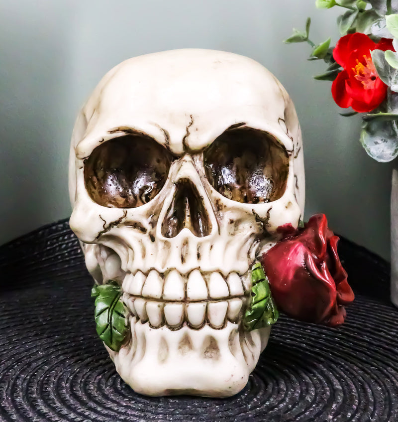 Romantic Goth Skull Biting A Stalk Of Red Rose Statue Lover Never Dies Eternal