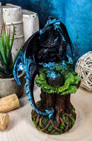 Ebros Blue Midnight Dragon Mother Guarding LED Translucent Egg Figurine Night Light