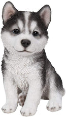 Ebros Lifelike Siberian Husky Sled Dog Puppy Sitting Figurine 6.75"H Animal Pet