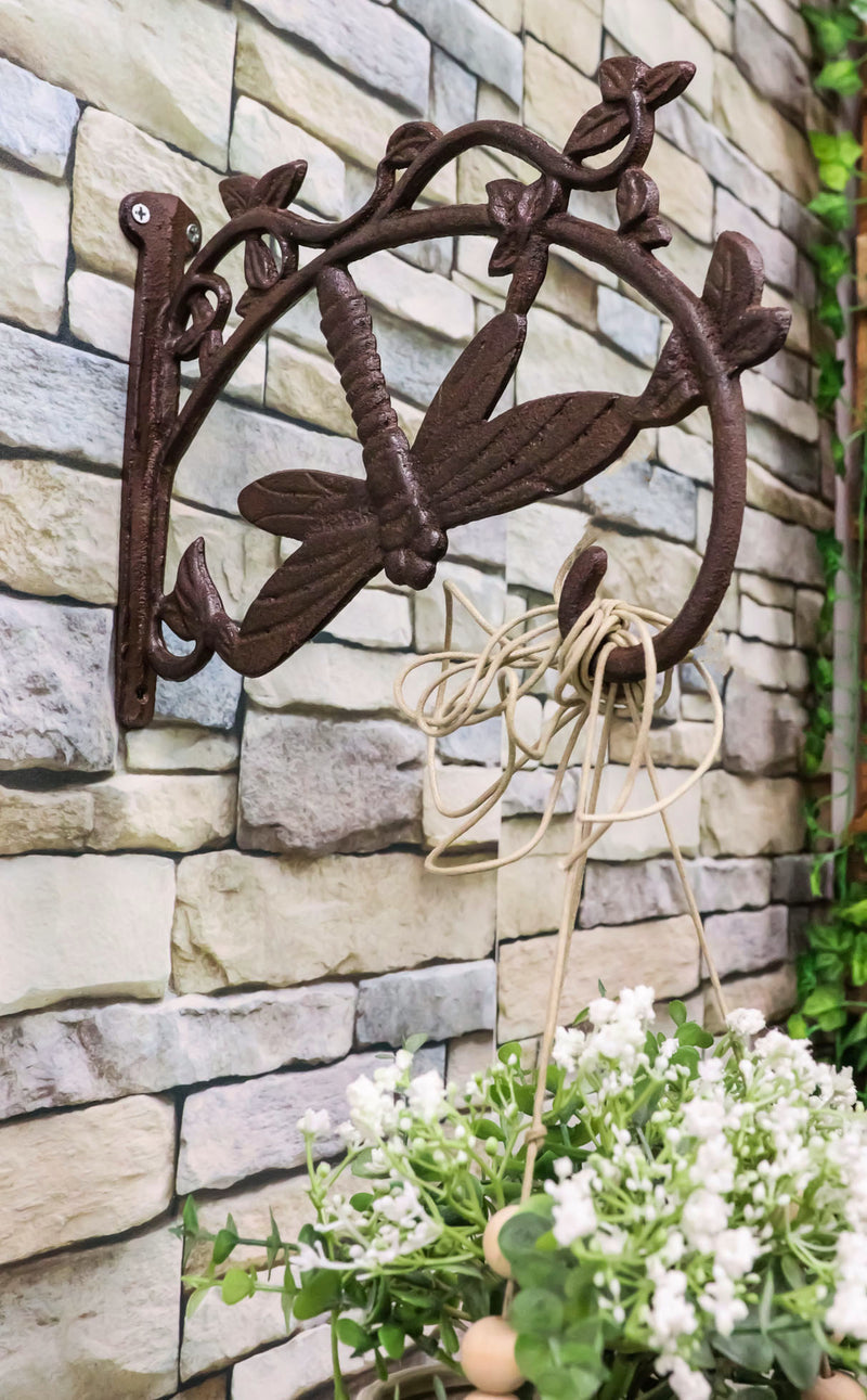 Whimsical Floral Vines Auspicious Dragonfly Plant Holder Wall Bracket Hook Accent