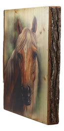 Ebros Rustic Stallion Horse Bust Print Canvas On Wooden Frame 16" H by 12.5"W